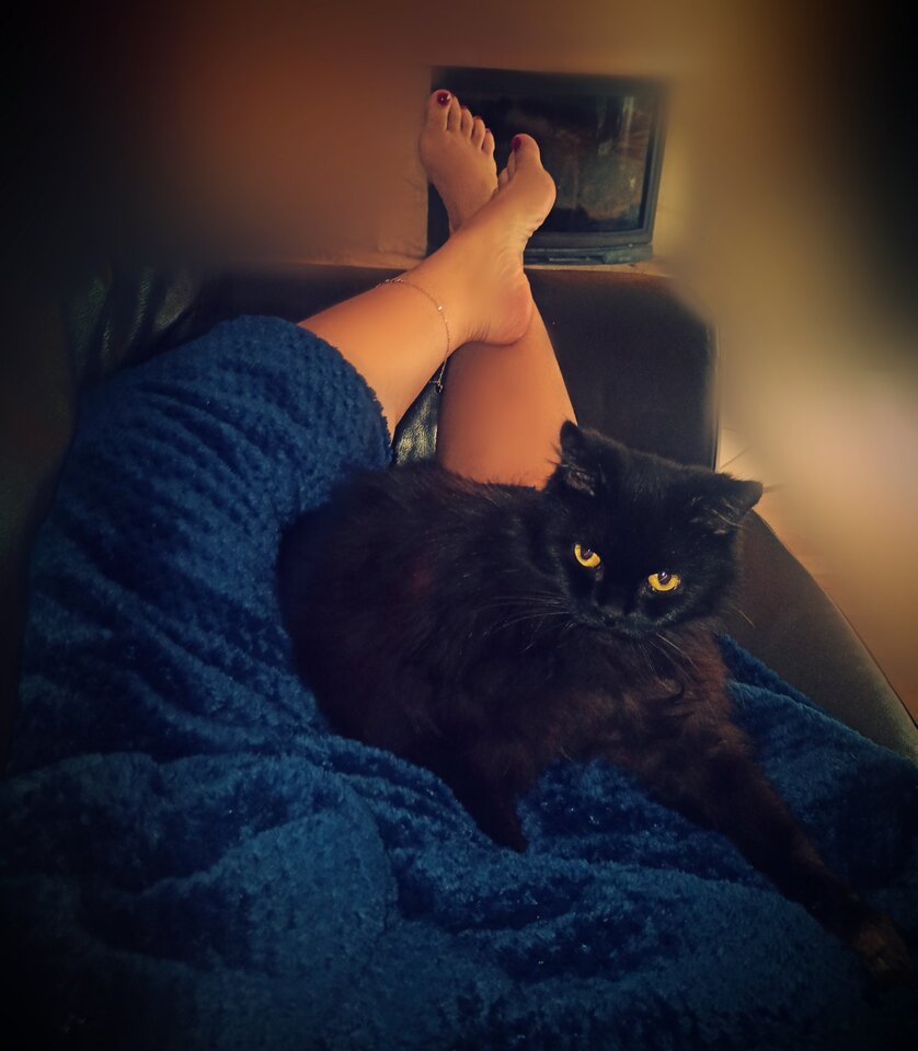 🐱🐾 - _Pure__Evil_