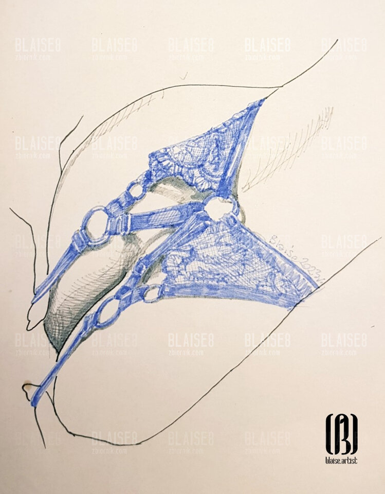 Art. No. 252 - blaise8