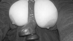 DSC_0036-09.jpeg