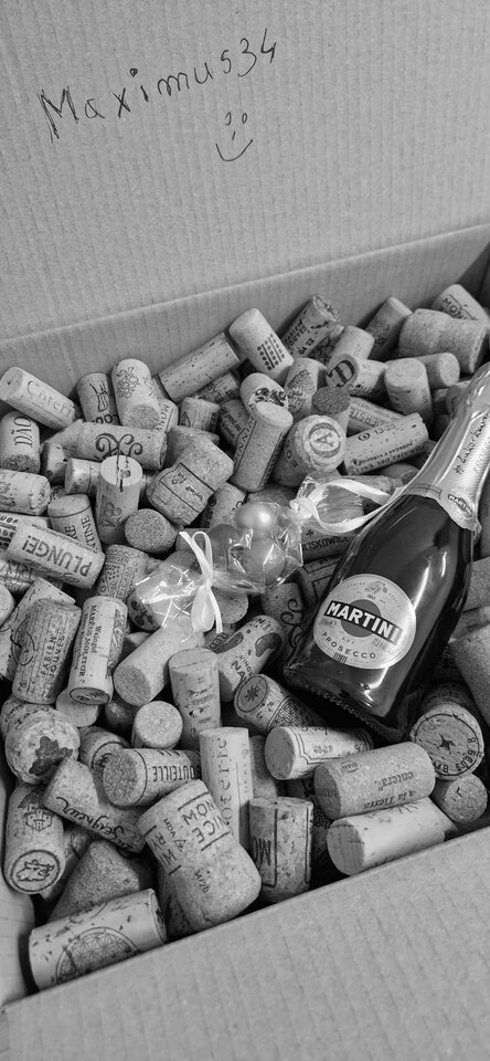 20231122_152949.jpg - Maximus34