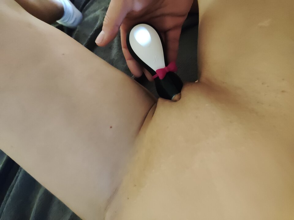 IMG_20231122_114402.jpg - sit7782