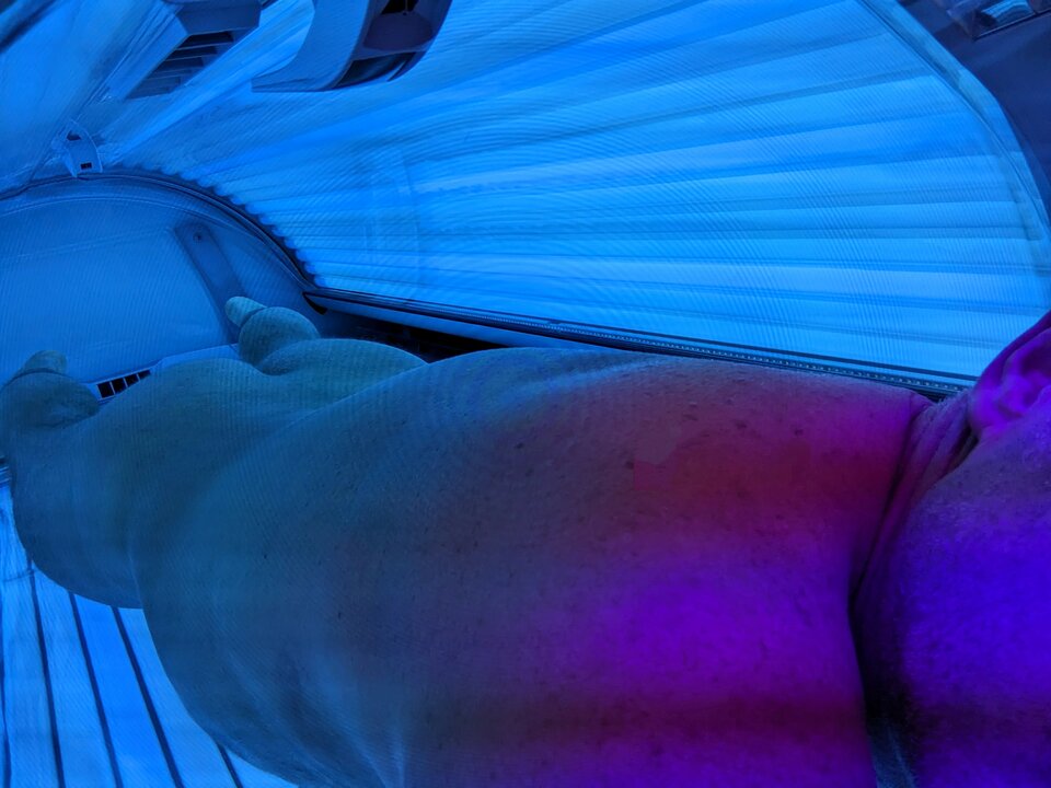 PXL_20231123_093532696.MP~2.jpg - myrazem20023