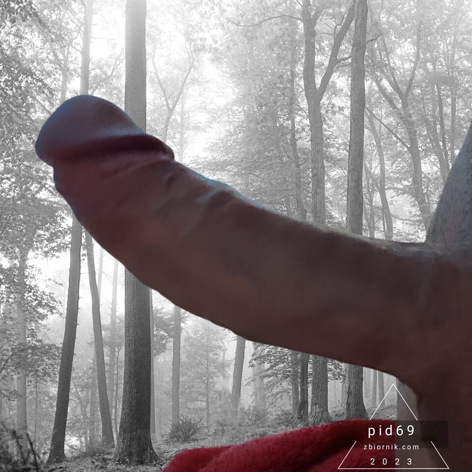 pid69-2311-04.jpg - pid69