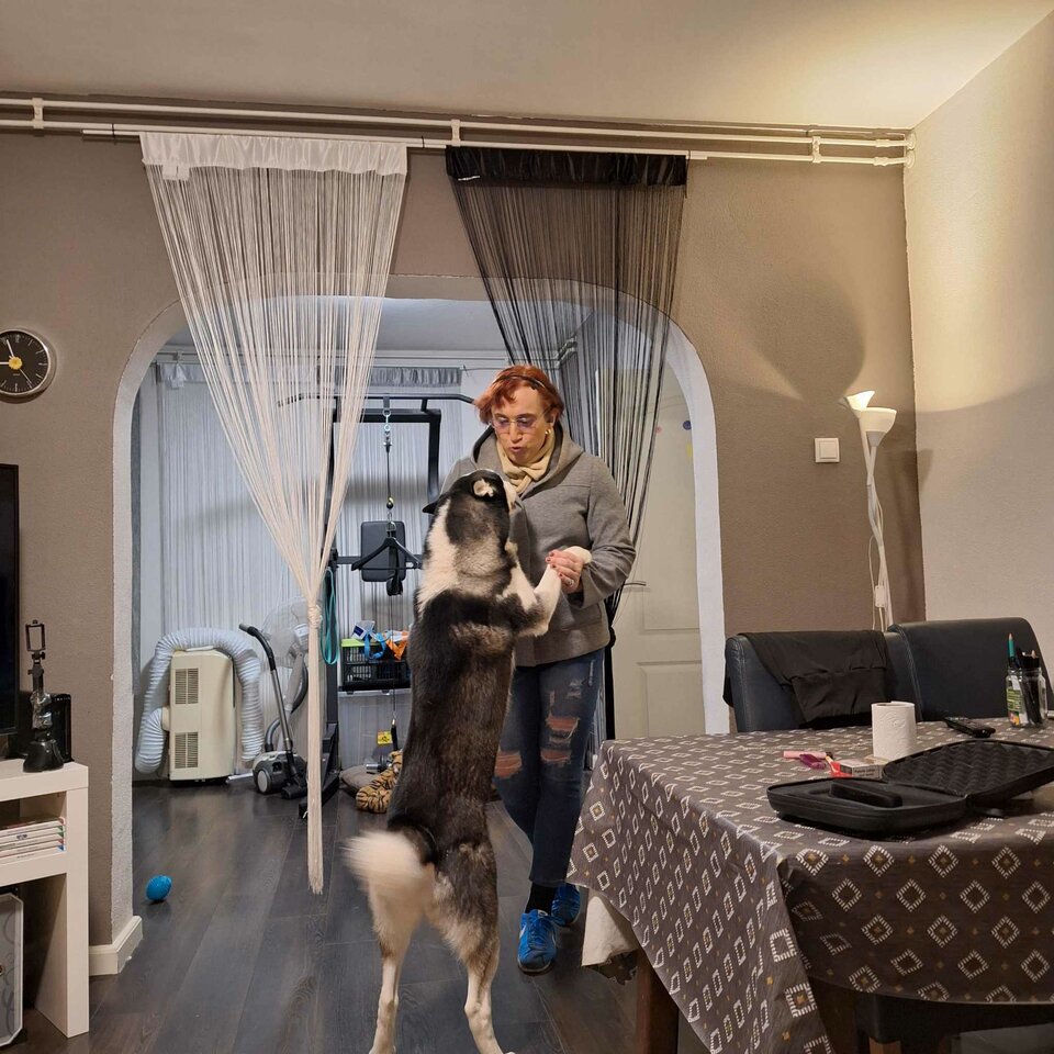 received_1020215032635589.jpeg - Liliana43cdEindhoven