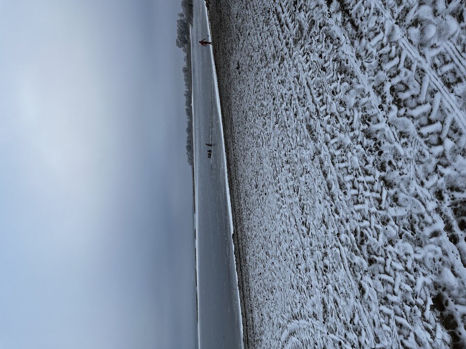 0701304F-95FE-499A-A0C6-EA6D90808105.jpeg - Gizmoo79