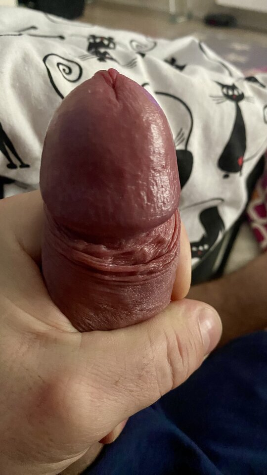 IMG_1101.jpeg - bondjames728