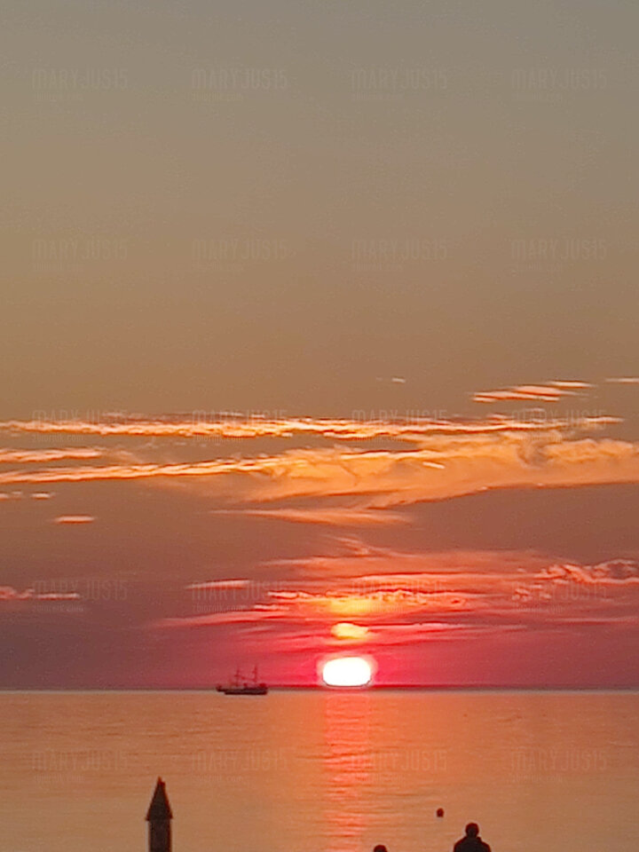 IMG_20230814_202730394.jpg - Maryjus15