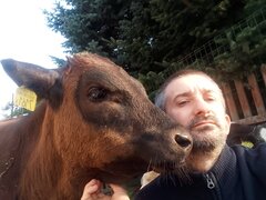 IMG_20220904_172151.jpg