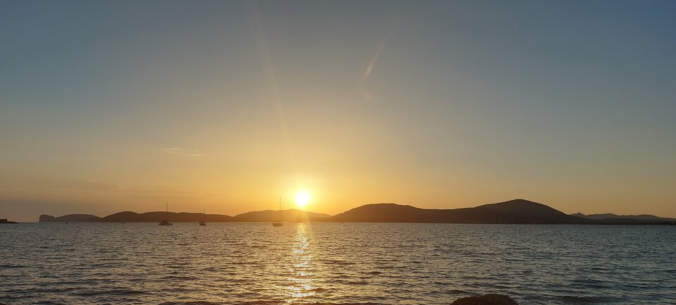 20230727_202928.jpg - JustTryingAgain