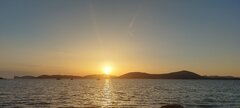 20230727_202928.jpg