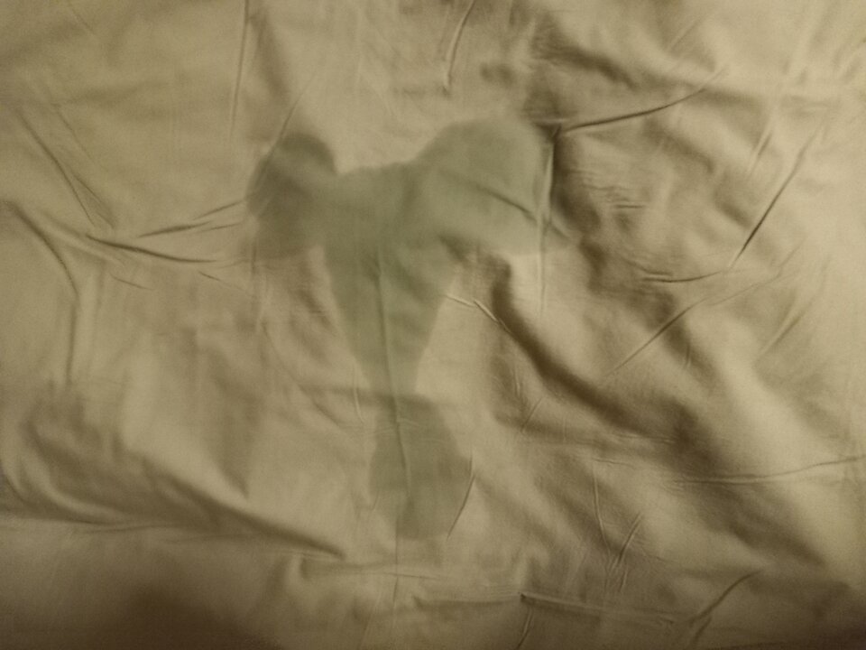 20231125_225116.jpg - FaustSirin