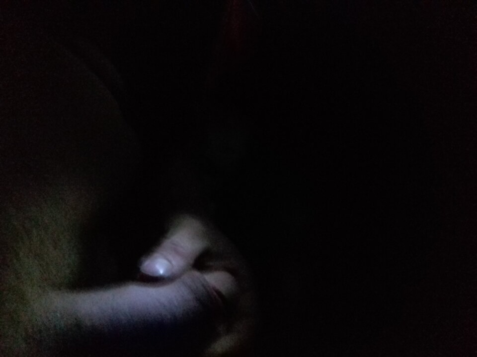 20231126_011353.jpg - Panjebaka35
