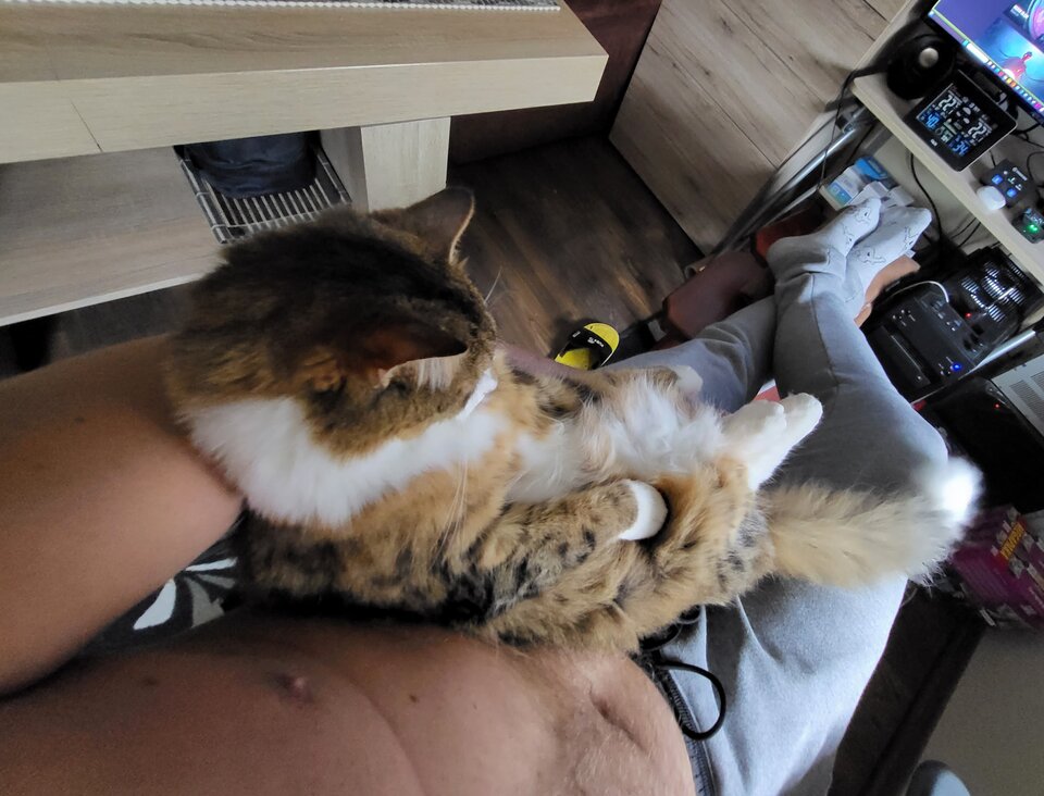 20231114_131417.jpg - Pan_Piotrunia