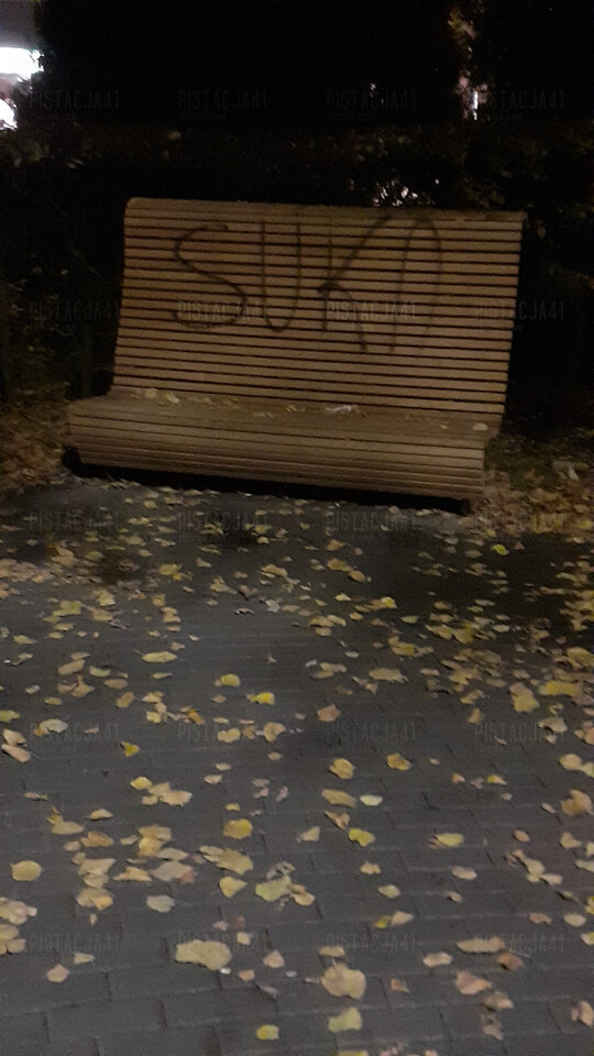20231112_061951.jpg - Pistacja41