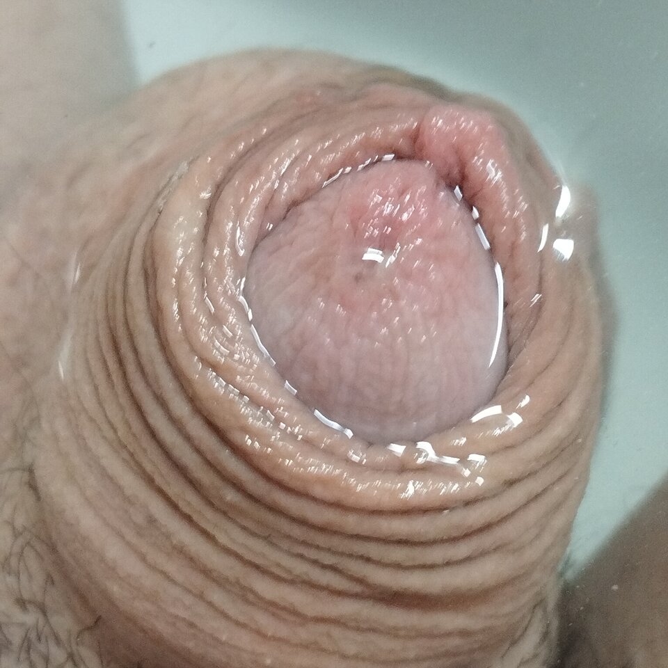 1700984146848776317702304933839.jpg - matuzalem000