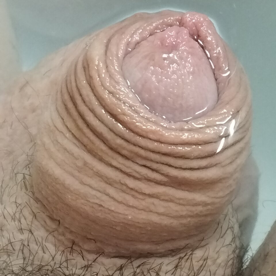 17009841712464458761419233388734.jpg - matuzalem000