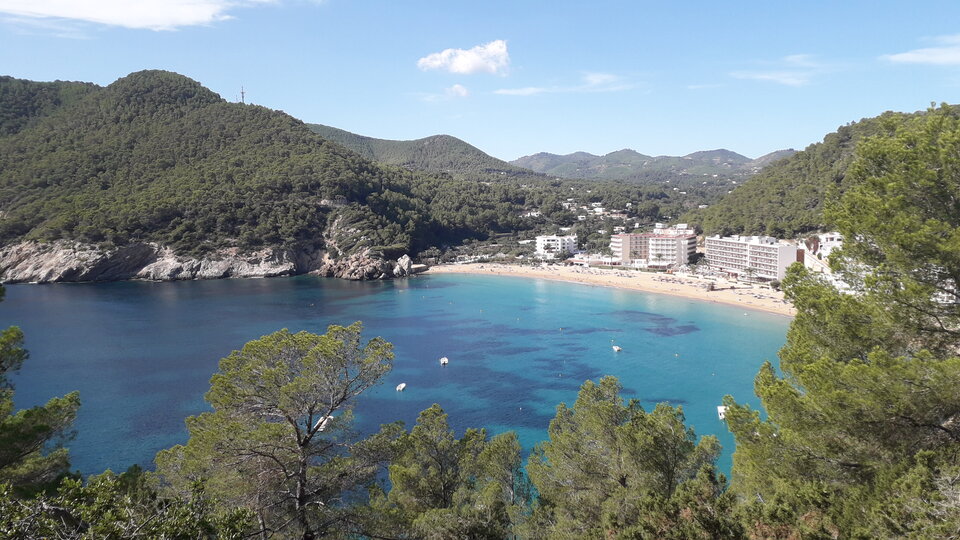 20231018_130754.jpg - Supremus_84