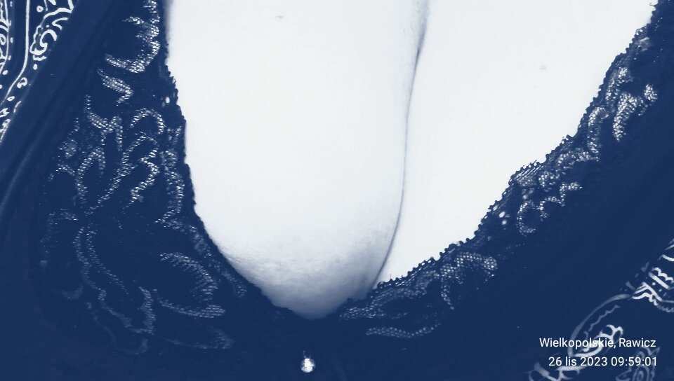 IMG_20231126_095901.jpg - grazkagreg7573