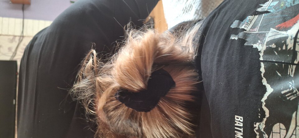 20231126_132632.jpg - Glodnisexu1