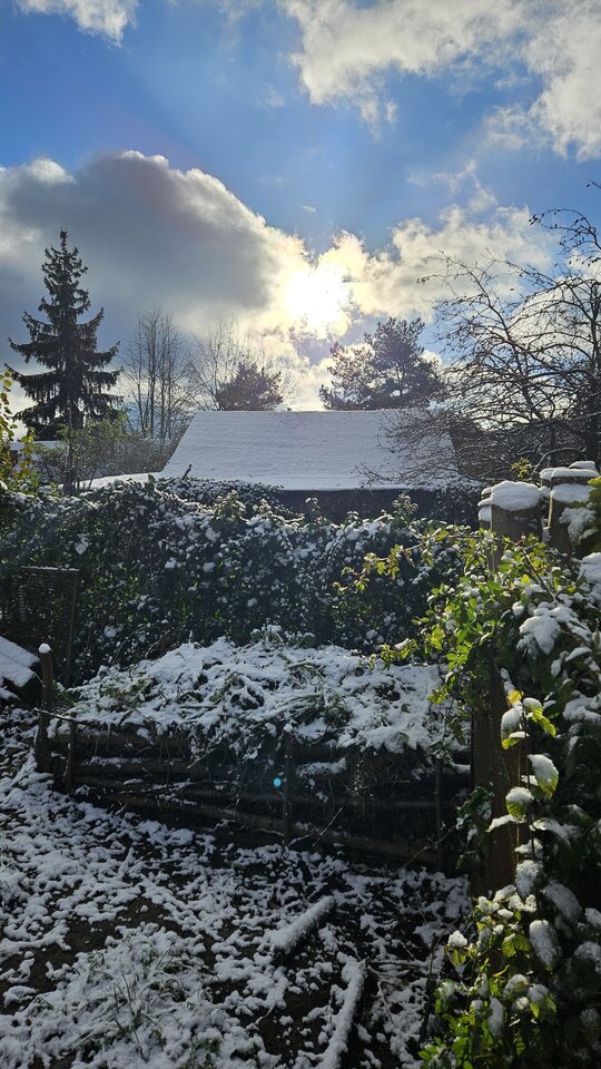 20231126_103525.jpg - skimir48