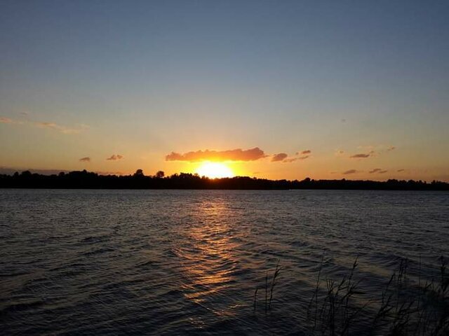 image1701055491159.jpg - _brtk_