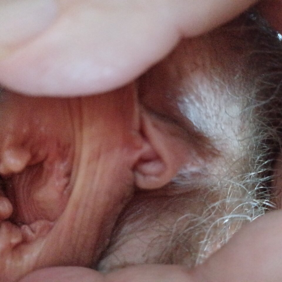 20231126_075005.jpg - Edek5407