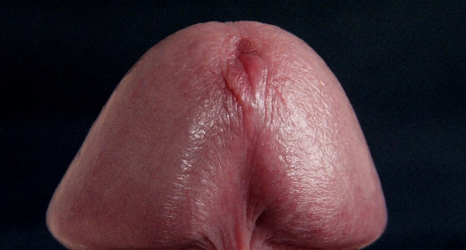 IMG_20231127_214545.jpg - Grzeszny74