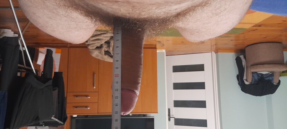 17011848561058244959253797540678.jpg - Debowy77