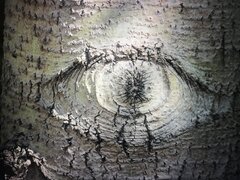 53856390-EE7B-4BDF-B9D8-105B82C81ED2.jpeg