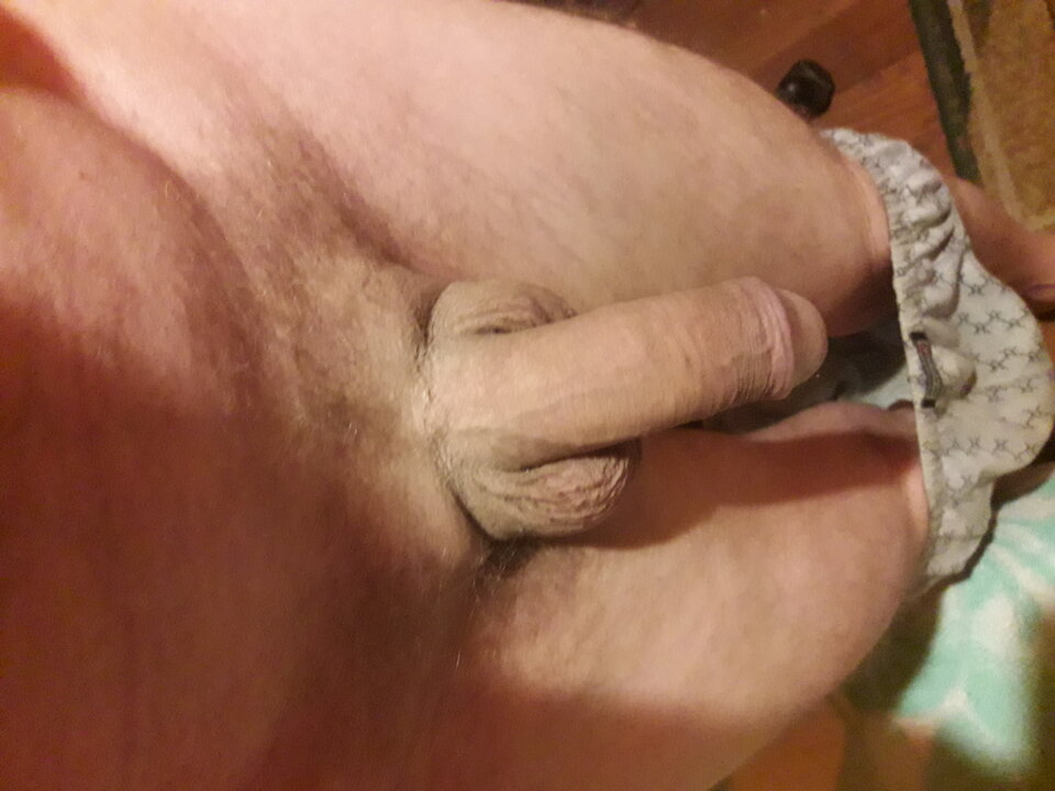 20231129_052750.jpg - brus13