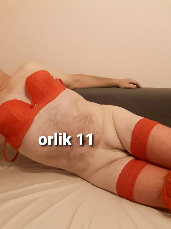 20231129 - orlik11