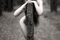 _