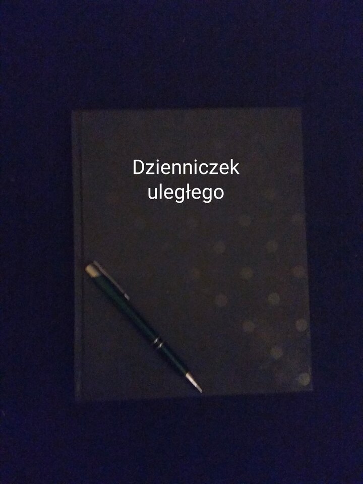 IMG_20231129_165348.jpg - tiritiribdsm1978