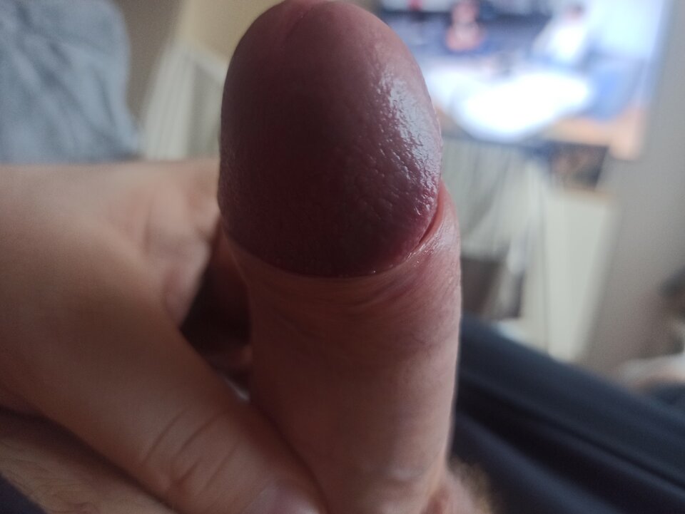 IMG_20231130_094356.jpg - Obciaganielubie