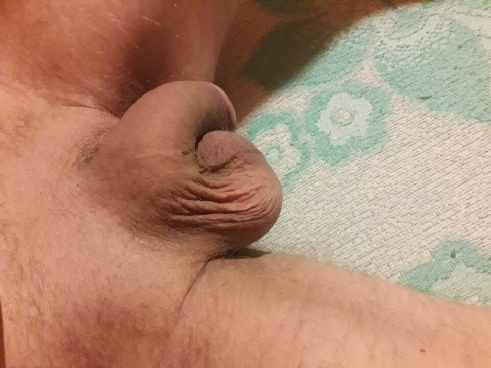 20231201_052429.jpg - brus13