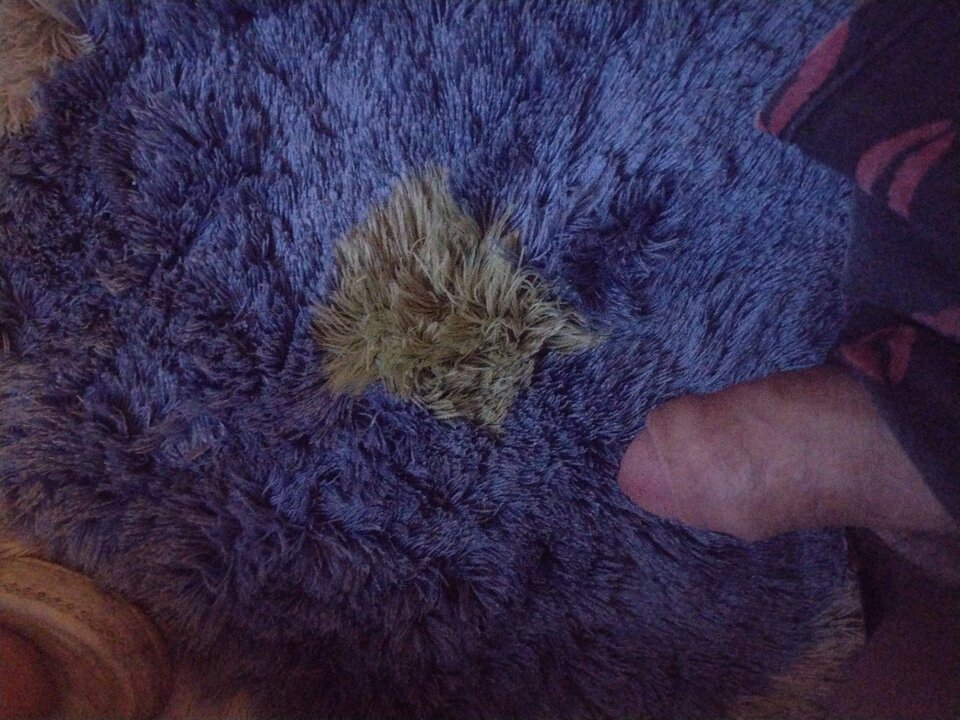 17014624509282192422998373006630.jpg - Chabbeat