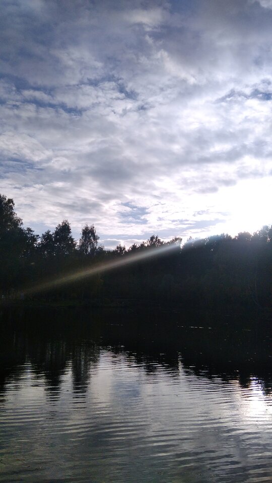 IMG_20231013_163458_1.jpg - Sexparaonona