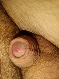IMG_20231202_090559.jpg