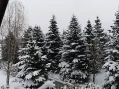 IMG_20231202_094305.jpg