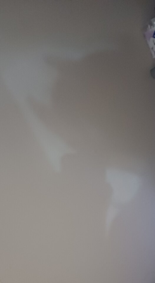 20231202_191401.jpg - Molly00