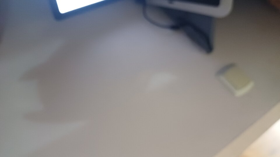 20231202_191351.jpg - Molly00