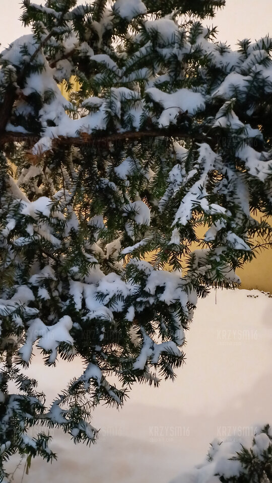 piękno zimy.jpg - krzysm16