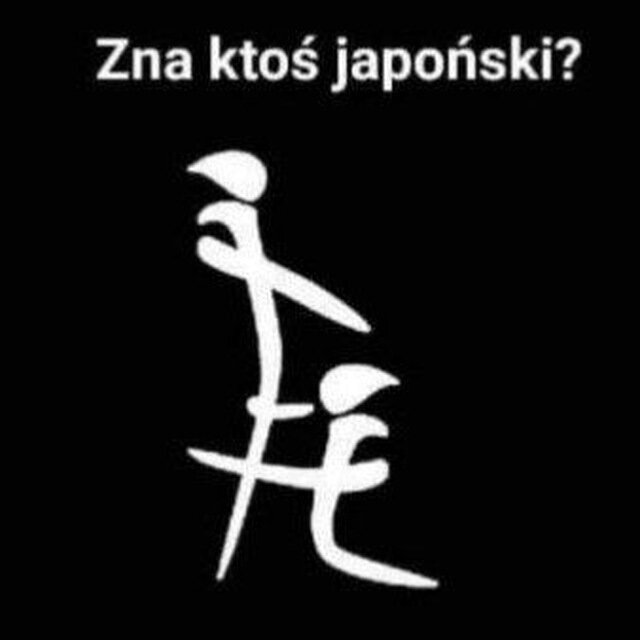 NormalnyDlaNormalnejWawa