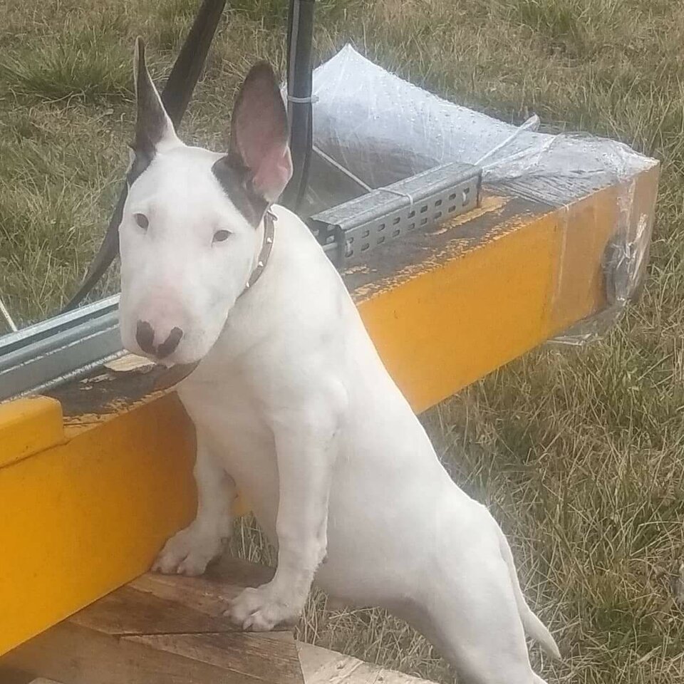 received_235888704235601.jpeg - Marjan296