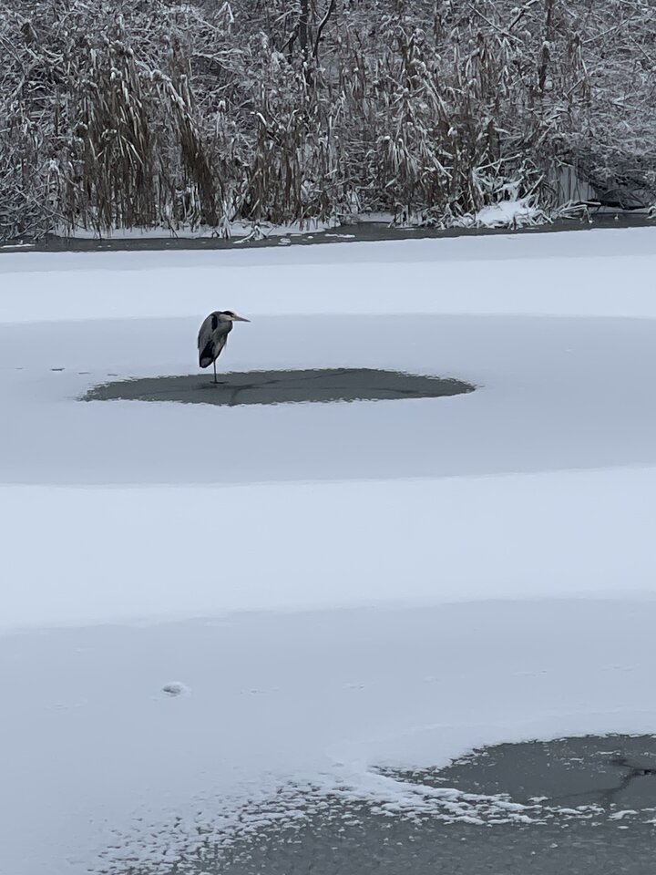 IMG_1574.jpeg - Are_there_impossible_things