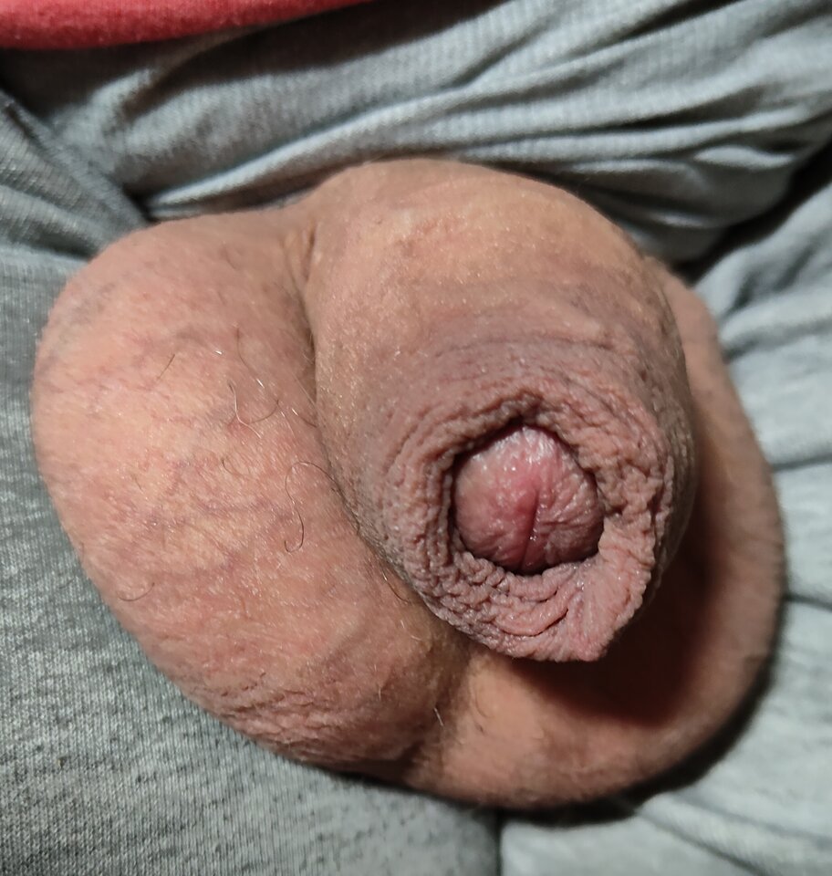 1000011276.jpg - jogan