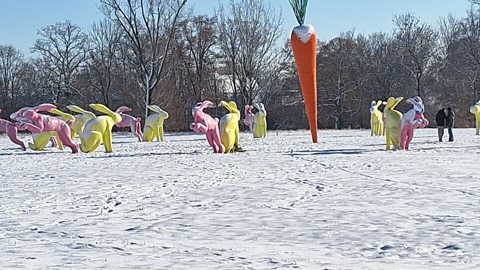 IMG-20231203-WA0011.jpeg - marecki2803