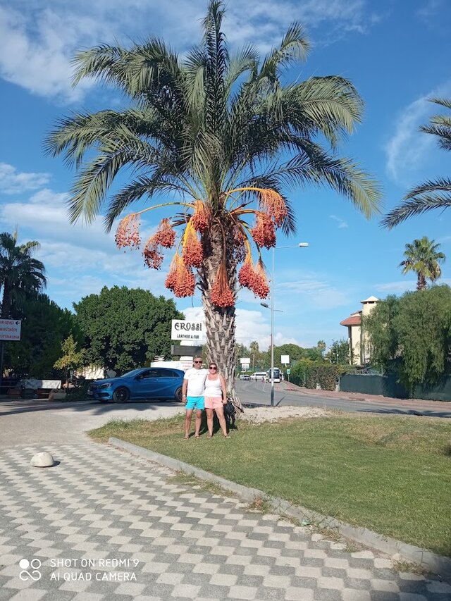 saunaonona