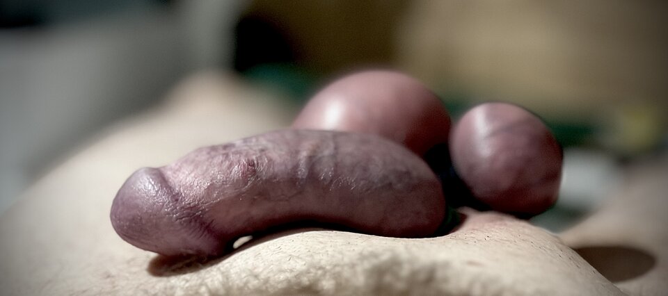 IMG_6691.jpeg - Simpson91