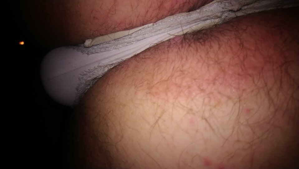 1700516804752.jpg - vader22